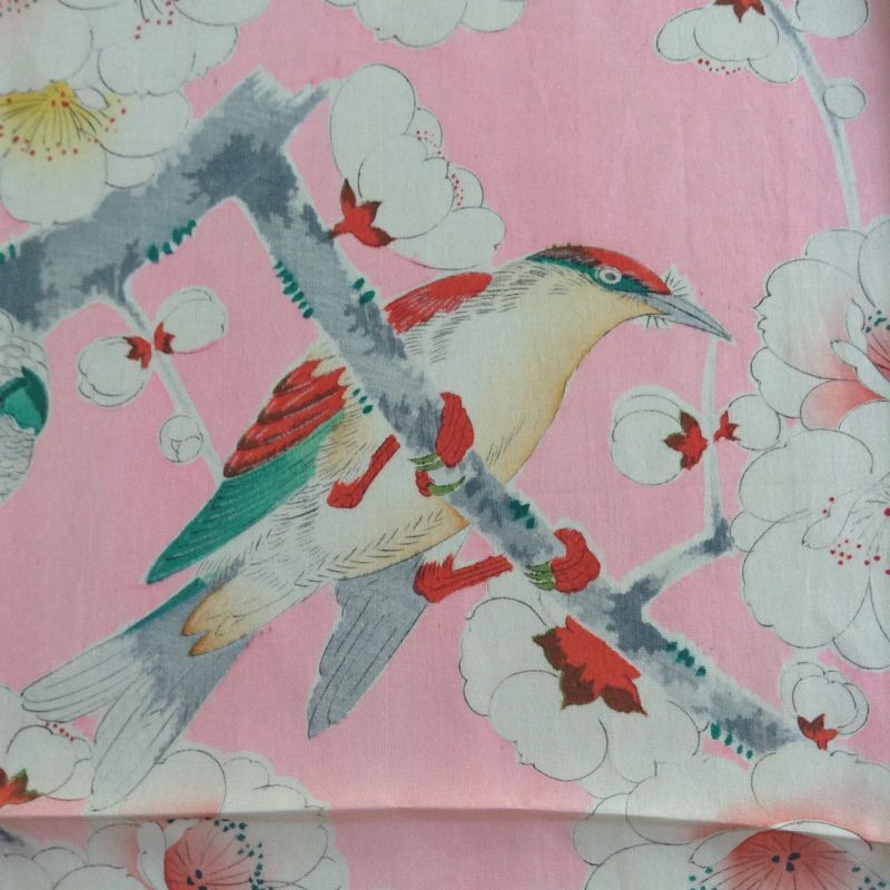 画像: 桜と鸚鵡の羽裏